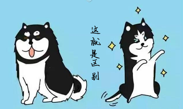 軟文營銷干貨看了很多，但在這3個方面，你一直被騙了！